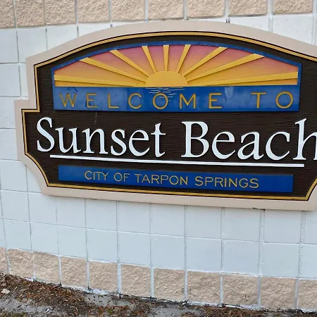 Modern Home, Heated Pool, Close To Beaches! Tarpon Springs Exterior photo